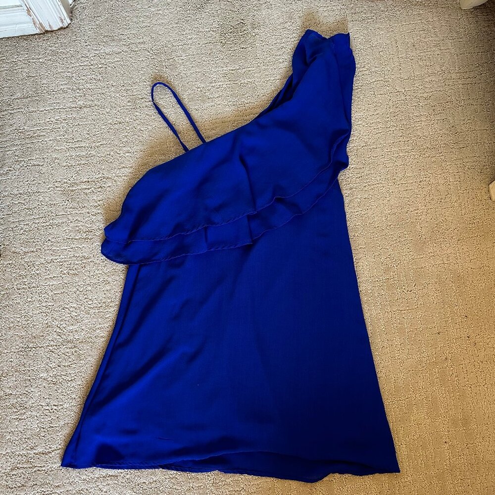 Impeccable Pig Ruffle One Shoulder Blue Dress with Strap | Small